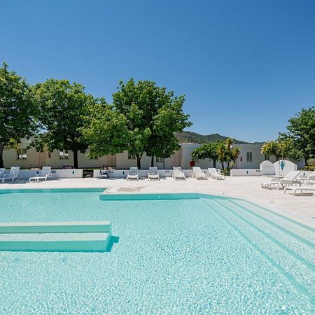 Hotel Le Mimose San Teodoro  Eksteriør billede